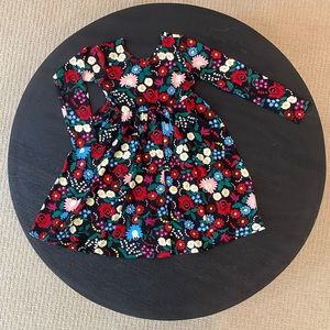 Celebration Skater Dress